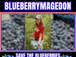BlueberryMagedon - Save the Blueberries - PNW Social News in Oregon