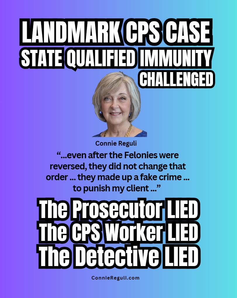 Family Court Corruption - Constitutional Crisis in America - Connie Reguli Family Forward Project