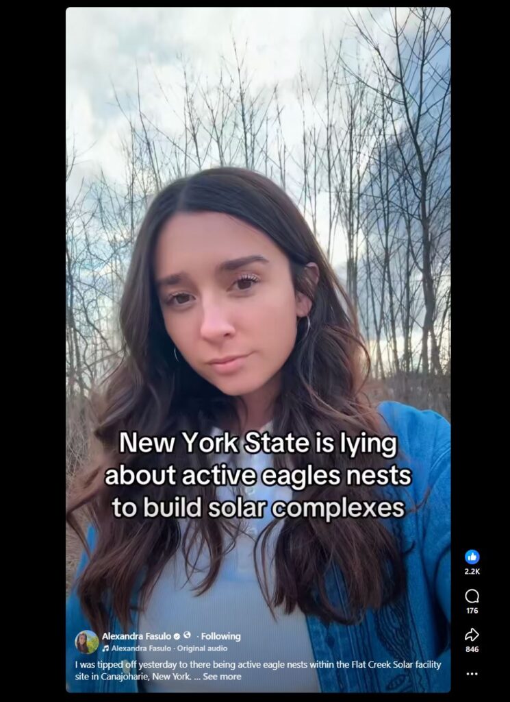 New York State Industrial Solar to End Bald Eagle Nest and Protected Grasslands with Endangered Animals