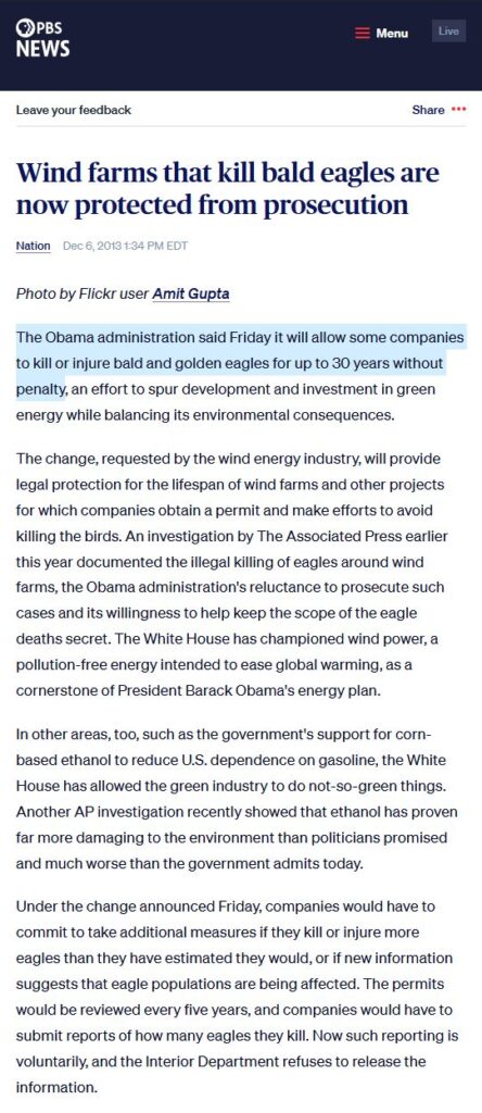 Obama Approved Wind farms that kill bald eagles so they are now protected from prosecution for 30 years