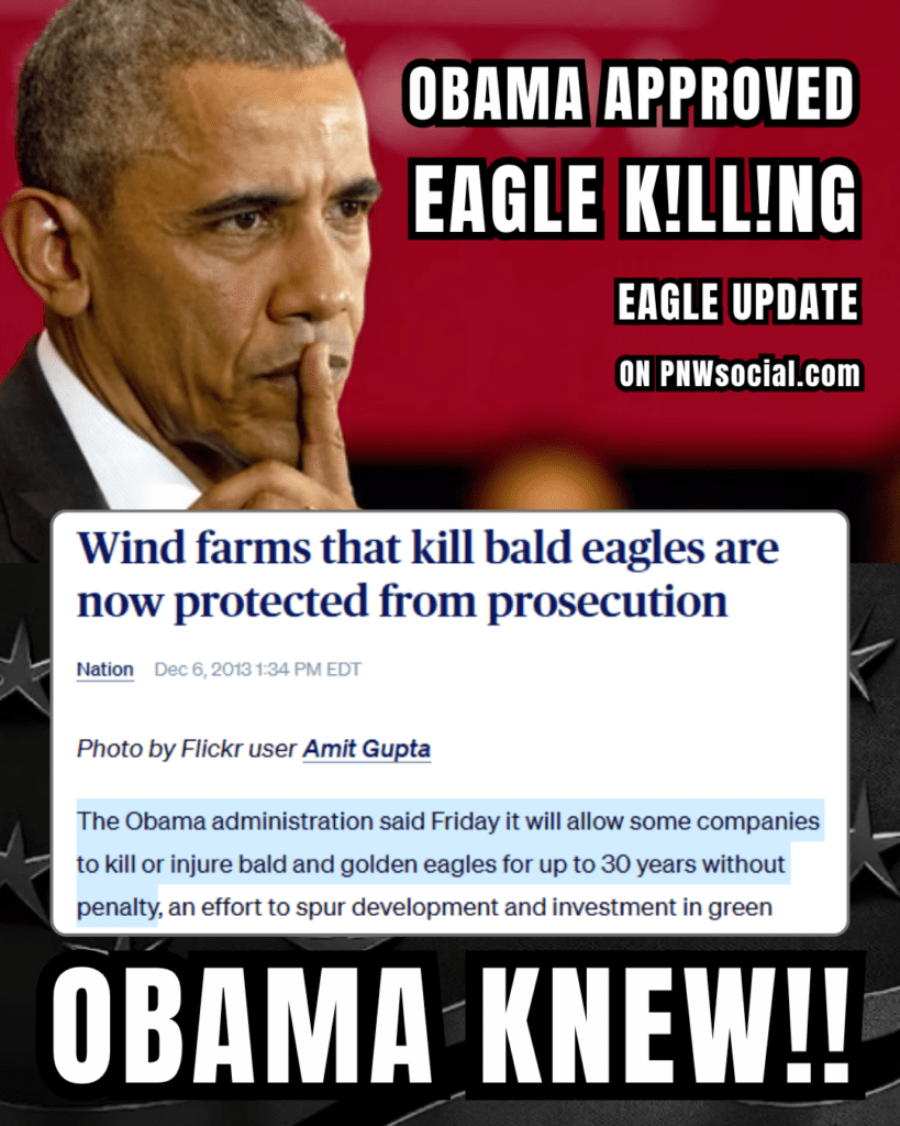 Obama admin will allow some companies to kill or injure bald and golden eagles for up to 30 years without penalty