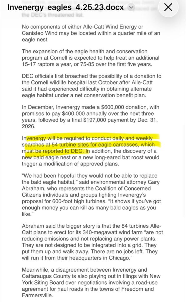 Wind Turbines Ending Bald Eagles in New York