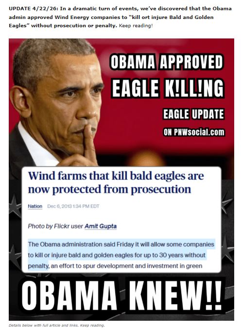 Bald Eagles in New York Ended by Obama Admin