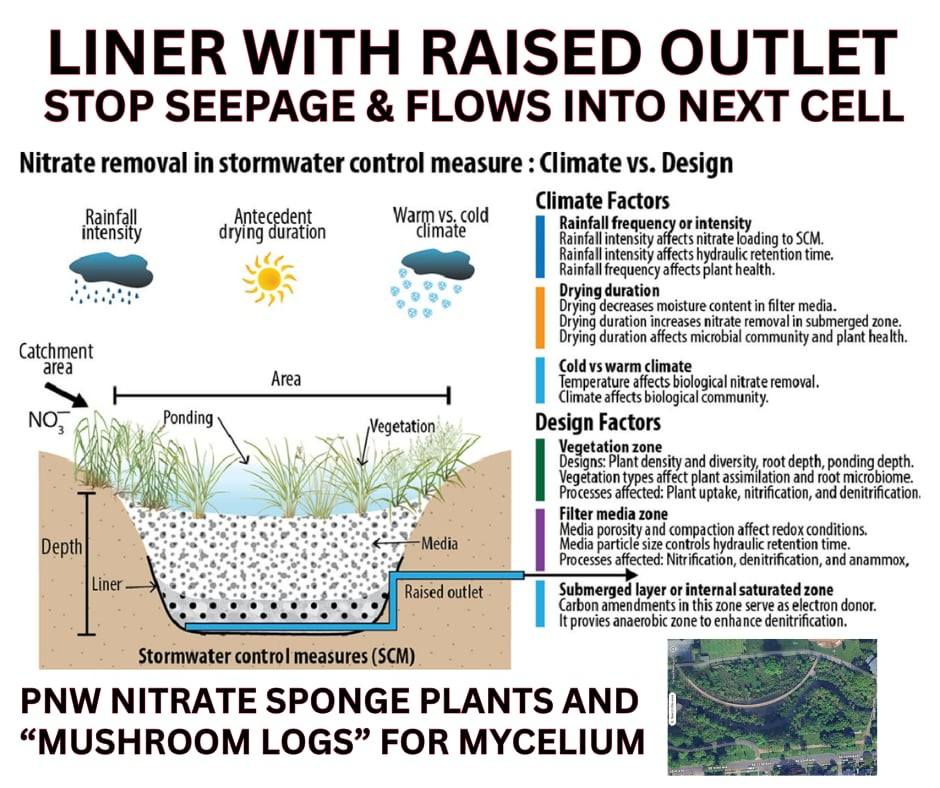 Bioretention Cell Liner with Raised Outlet