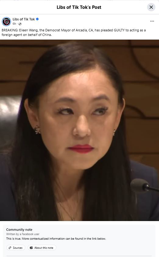 Eileen Wang Working for China - Foreign Agent for China in California