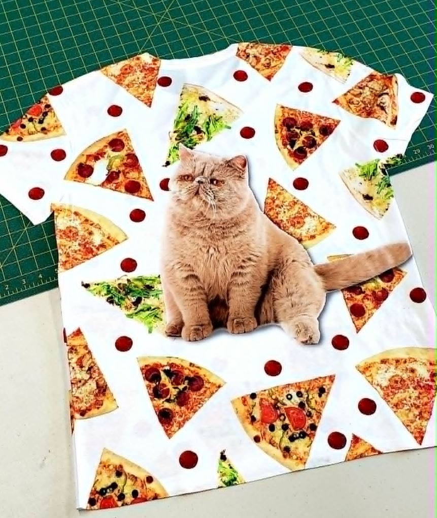 Pizza Cat Shirt Portland Oregon
