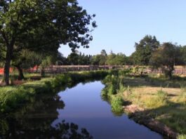 Westmoreland Park made in part by U.S. Army Corps of Engineers - Bioretention Water Project Portland