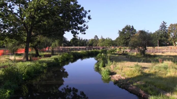 Westmoreland Park made in part by U.S. Army Corps of Engineers - Bioretention Water Project Portland