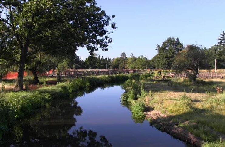 Westmoreland Park made in part by U.S. Army Corps of Engineers - Bioretention Water Project Portland