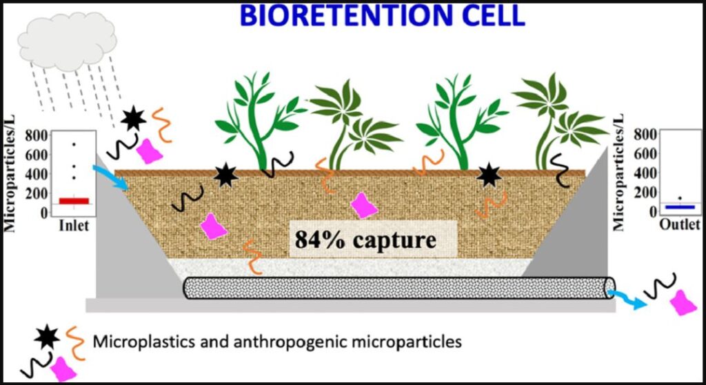 What is a Bioretention cell - Bioretention cells are shallow landscaped depressions designed to capture, treat, and infiltrate stormwater runoff