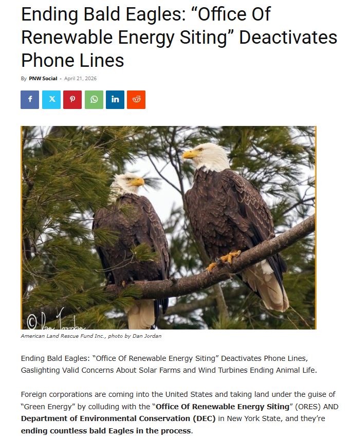 Wind Turbines Killing Bald Eagles