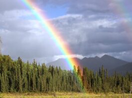 Pride Rally Canceled in Eugene Oregon amid Safety Concerns - Nurse Siobhan Lambert wishes harm on Alex Lockwood to Get Bricked